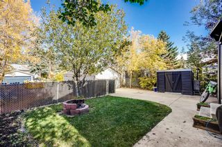 Photo 20: 3007 32A Avenue SE in Calgary: Dover Detached for sale : MLS®# A1159653
