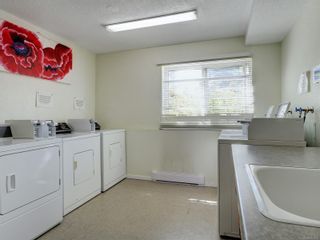 Photo 20: 306 1571 Mortimer St in Saanich: SE Mt Tolmie Condo for sale (Saanich East)  : MLS®# 851435