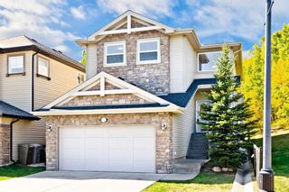 Photo 2: 59 St Moritz Terrace SW in Calgary: Springbank Hill Detached for sale : MLS®# A2080924