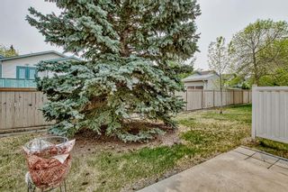 Photo 46: 49 Harvest Glen Heights NE in Calgary: Harvest Hills Row/Townhouse for sale : MLS®# A2050846