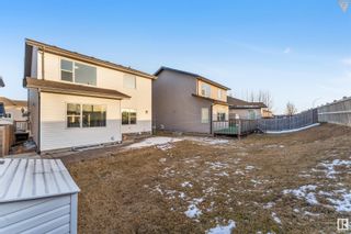 Photo 7: 3612 16 Street in Edmonton: Zone 30 House for sale : MLS®# E4377233