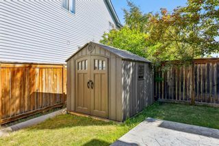 Photo 43: 56 Covepark Mews NE in Calgary: Coventry Hills Detached for sale : MLS®# A2145181