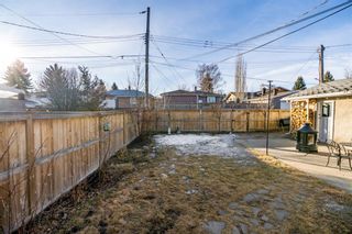Photo 28: 29 Fredson Drive SE in Calgary: Fairview Detached for sale : MLS®# A1179362