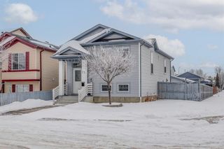 Main Photo: 77 Martin Crossing Cove NE in Calgary: Martindale Detached for sale : MLS®# A2031300
