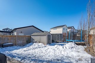 Photo 47: 364 Sagewood Place SW: Airdrie Detached for sale : MLS®# A2033871