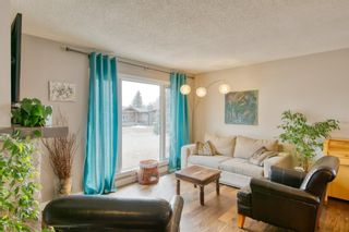 Photo 3: 3631 Logan Crescent SW in Calgary: Lakeview Detached for sale : MLS®# A1233274