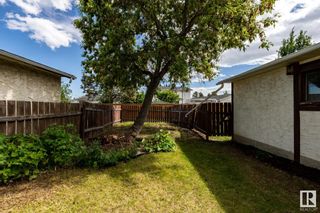 Photo 45: 8603 44 Avenue in Edmonton: Zone 29 House for sale : MLS®# E4392428