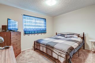Photo 18: 511 Aberdeen Road SE in Calgary: Acadia Detached for sale : MLS®# A1153029