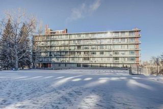 Photo 3: 506 3204 Rideau Place SW in Calgary: Rideau Park Apartment for sale : MLS®# A2101677