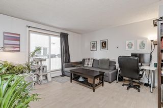 Photo 1: 202 1824 11 Avenue SW in Calgary: Sunalta Apartment for sale : MLS®# A2050077
