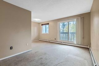 Photo 8: 212 11620 Elbow Drive SW in Calgary: Canyon Meadows Apartment for sale : MLS®# A2086620