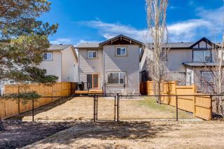 Photo 36: 263 Silverado Plains Close SW in Calgary: Silverado Detached for sale : MLS®# A2123792