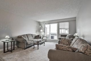 Photo 8: 106 12096 222 Street in Maple Ridge: West Central Condo for sale in "Canuck Plaza" : MLS®# R2348587