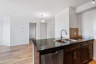 Photo 13: 410 7110 80 ave Avenue NE in Calgary: Saddle Ridge Apartment for sale : MLS®# A2017369