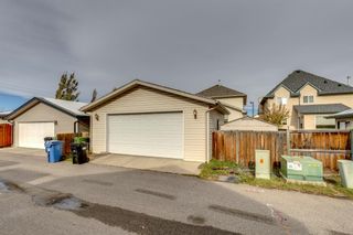 Photo 45: 134 Elgin Way SE in Calgary: McKenzie Towne Detached for sale : MLS®# A2008966