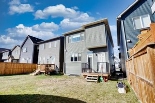 Photo 34: 64 Seton Terrace SE in Calgary: Seton Detached for sale : MLS®# A2004109