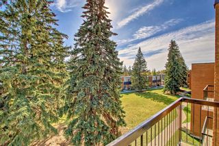 Photo 23: 302 3506 44 Street SW in Calgary: Glenbrook Apartment for sale : MLS®# A2079706