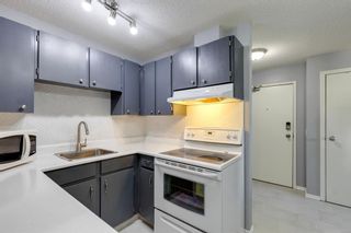 Photo 11: 4175 90 Glamis Drive SW in Calgary: Glamorgan Apartment for sale : MLS®# A2037052