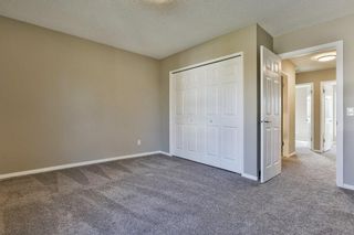 Photo 17: 47 TEMPLEGREEN Place NE in Calgary: Temple Detached for sale : MLS®# C4273952