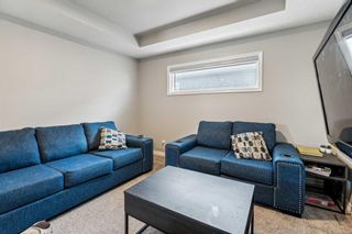 Photo 28: 236 Red Sky Terrace NE in Calgary: Redstone Detached for sale : MLS®# A2125780