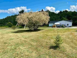 Photo 23: 669 Pine Tree Road in Pine Tree: 108-Rural Pictou County Residential for sale (Northern Region)  : MLS®# 202316266
