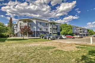 Photo 44: 1215 2280 68 Street NE in Calgary: Monterey Park Apartment for sale : MLS®# A2054328