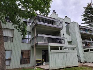 Photo 36: 337 10120 Brookpark Boulevard SW in Calgary: Braeside Apartment for sale : MLS®# A2071540