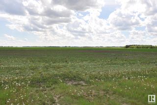 Photo 12: RR 260 & Twp 564 NW: Rural Sturgeon County Rural Land/Vacant Lot for sale : MLS®# E4298717