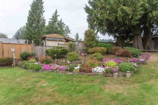 Photo 17: 2332 MIRAUN Crescent in Abbotsford: Abbotsford East House for sale : MLS®# R2210173