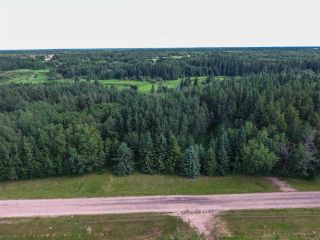 Photo 3: Pinebrook Block 1 Lot 2: Rural Thorhild County Rural Land/Vacant Lot for sale : MLS®# E4171871