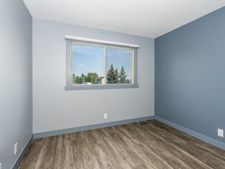 Photo 25: 74 Queen Anne Close SE in Calgary: Queensland Detached for sale : MLS®# A1257484