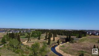 Photo 3: 1651 JAMES MOWATT Trail in Edmonton: Zone 55 Townhouse for sale : MLS®# E4341421