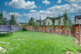 Photo 39: 572 Cougar Ridge Drive SW in Calgary: Cougar Ridge Detached for sale : MLS®# A1143842