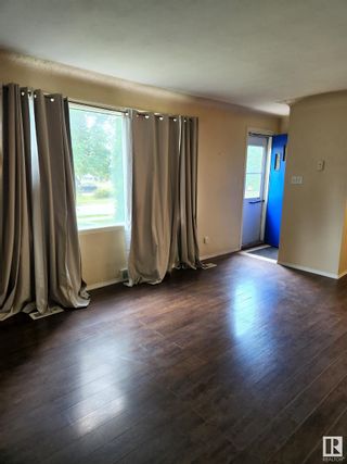 Photo 10:  in Edmonton: Zone 17 House for sale : MLS®# E4309280