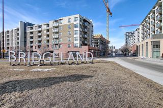 Photo 33: 1005 38 9 Street NE in Calgary: Bridgeland/Riverside Apartment for sale : MLS®# A1077953