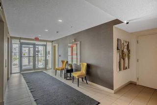 Photo 23: 216 2300 Evanston Square NW in Calgary: Evanston Apartment for sale : MLS®# A2120918