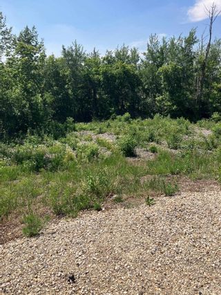 Photo 5: 26319 Meadowview Drive: Rural Sturgeon County Vacant Lot/Land for sale : MLS®# E4330691
