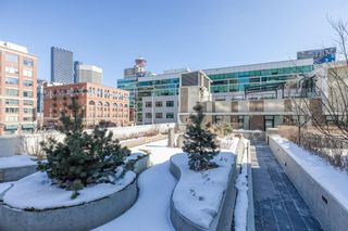 Photo 31: 902 310 12 Avenue SW in Calgary: Beltline Apartment for sale : MLS®# A2036398