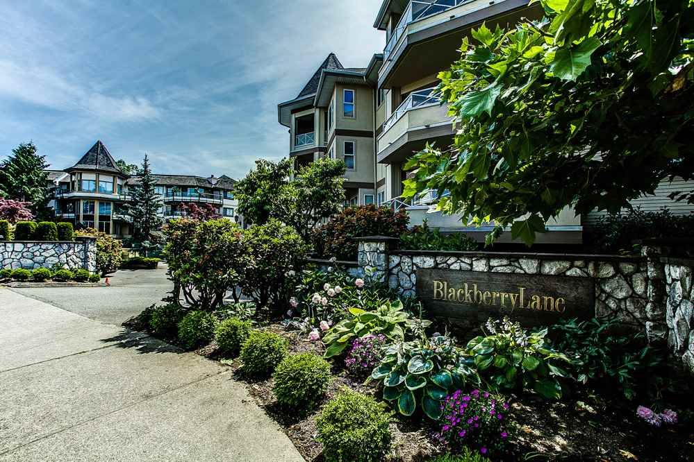 Main Photo: 113 20120 56 Avenue in Langley: Langley City Condo for sale in "BLACKBERRY LANE" : MLS®# R2076345