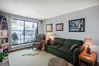 Photo 10: 305 2734 17 Avenue SW in Calgary: Shaganappi Apartment for sale : MLS®# A2054151