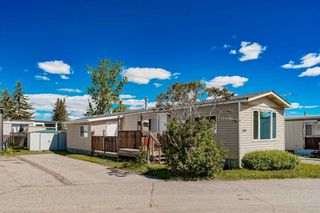 Main Photo: 406 3223 83 Street NW in Calgary: Greenwood/Greenbriar Mobile for sale : MLS®# A2137473