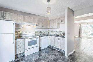 Photo 9: 1 220 Erin Mount Crescent SE in Calgary: Erin Woods Row/Townhouse for sale : MLS®# A1154896