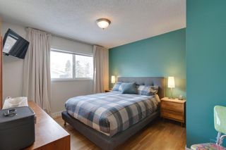 Photo 17: 223 Martell Road NE in Calgary: Marlborough Detached for sale : MLS®# A2021187