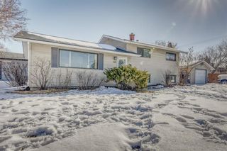 Photo 4: 49 Fielding Drive SE in Calgary: Fairview Detached for sale : MLS®# A2032765