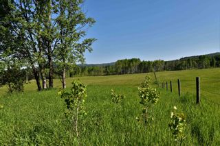 Photo 29: BOURGON ROAD in Smithers: Smithers - Rural Land for sale (Smithers And Area (Zone 54))  : MLS®# R2700048