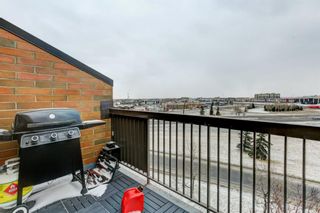 Photo 20: 625 30 McHugh in Calgary: Mayland Heights Apartment for sale : MLS®# A1206216