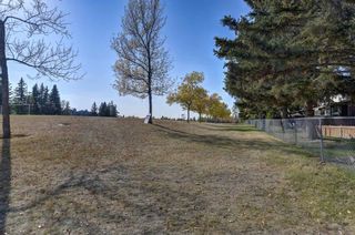 Photo 44: 3204 56 Street NE in Calgary: Pineridge Detached for sale : MLS®# A2005579
