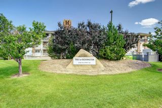 Photo 48: 124 8200 4 Street NE in Calgary: Beddington Heights Apartment for sale : MLS®# A2017788
