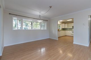 Photo 13: 4040 Holland Ave in Saanich: SW Granville House for sale (Saanich West)  : MLS®# 957006