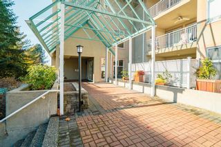 Photo 37: 101 11609 227 Street in Maple Ridge: East Central Condo for sale in "Emerald Manor" : MLS®# R2877856